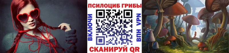 Купить где  Шахунья  Галлюциногенные грибы ЛСД 
